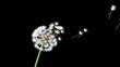 Dandelion on a blue background, 3d animation