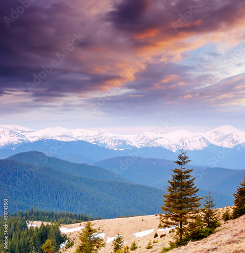 Photo: Spring in the Mountains Spring in the Mountains