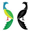 Vector image of peacock on a white background.