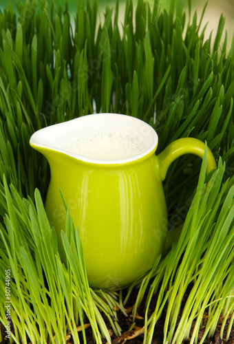 Photo: Pitcher of milk standing on grass close up Pitcher of milk standing on grass close up