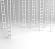 ladder