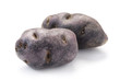 Vitelotte