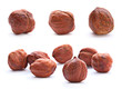 Hazelnut on white