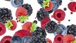 Falling Mixed Berries as background video (with Alpha)