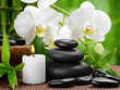 spa concept