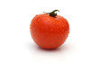 Single wet tomato isolated on white background