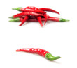 Photo: red hot chilli peppers red hot chilli peppers