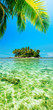 Tropical island. Panoramic vertical composition.