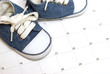 Parenting Schedule