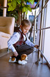 Little boy playing with toy puppy