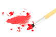 brush and paint scratch isolated on white background