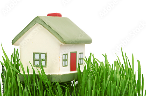 Photo: Cottage. isolated on white background Cottage. isolated on white background