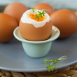 egg soft-boiled boiled