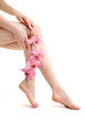Beautiful woman legs, isolated on white