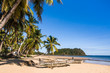 Tropical beach landscape