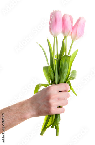 Photo: Beautiful bouquet of pink tulips in man hand, isolated on white Beautiful bouquet of pink tulips in man hand, isolated on white