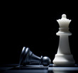 Pawn at the feet of the Queen