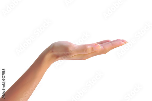 Photo: Woman hand Woman hand
