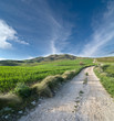 Dirt Road In Green Field Against Blue Sky