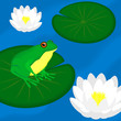 Green frog sits on a leaf in a pond, vector illustration