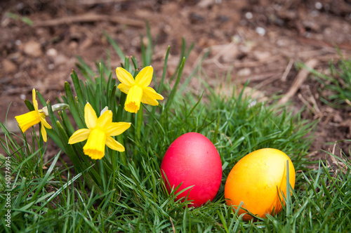 Photo: Egg hunt Egg hunt
