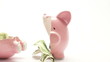 Piggy bank splitting in two with cash inside