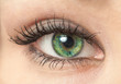 Woman eye macro closeup