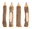 set of pencils stylized tree branch. isolated on the white