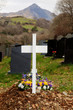 Grave and the Cnicht