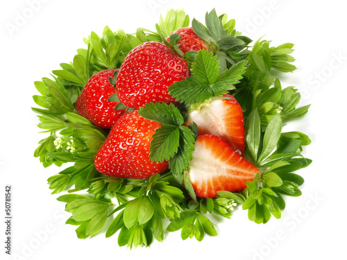 Photo: Erdbeeren auf Waldmeister Erdbeeren auf Waldmeister