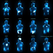 Human anatomy abstract design