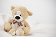 Teddy bear