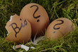 Alles Bio?