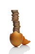 The nowadays golden goose.
