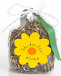 Selbst gesammelt - Samen von Studentenblumen