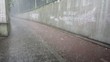 rainy day