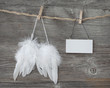 Angel wings