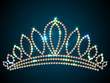 Shiny diadem