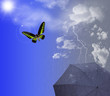 Sonne und Regen - Sun And Rain