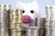 Sparschwein11