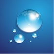 Water drop vector