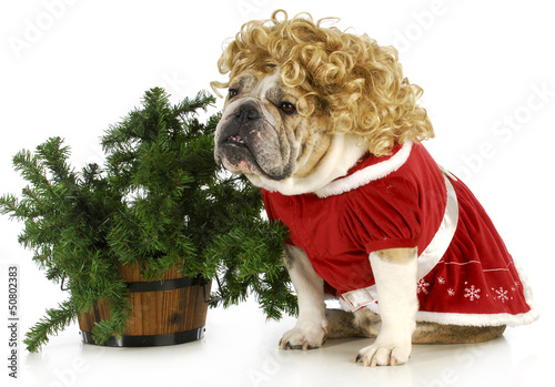 Photo: mrs claus mrs claus