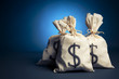 Bags full of money on a blue background