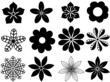 Flowers Set