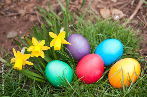 Photo: Easter Eggs Easter Eggs