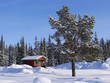 Winter in Lappland