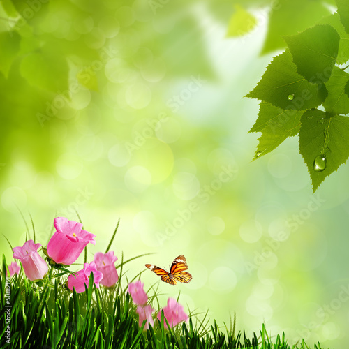 Photo: Beauty flowers. Abstract natural backgrounds Beauty flowers. Abstract natural backgrounds