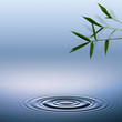 Bamboo. Abstract environmental backgrounds