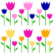 Vektor: Colorful spring Tulips set isolated on white Colorful spring Tulips set isolated on white