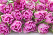 lovely pink